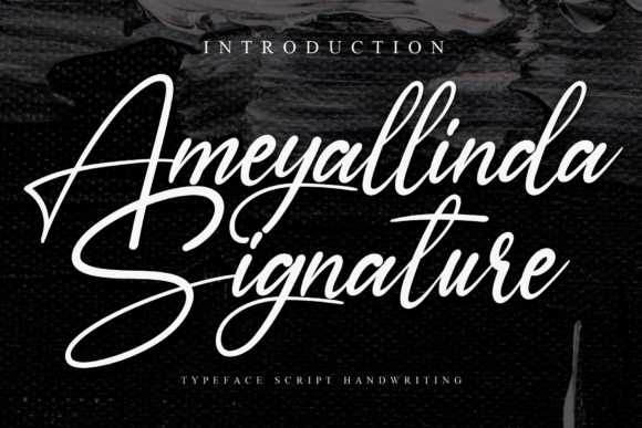 Ameyallinda Signature: A Modern Script Handwritten Font Worth Owning