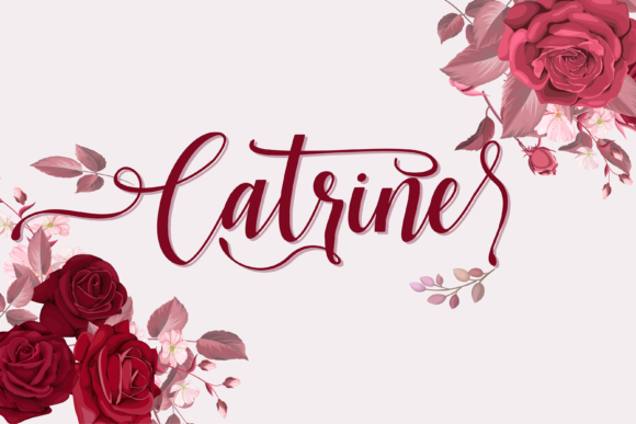 Catrine Script Handwritten Font for Elegant Makers