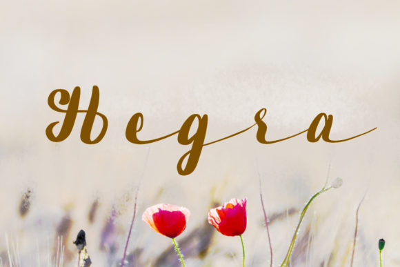 Hegra: A Delicate Script Handwritten Font for Thoughtful Design