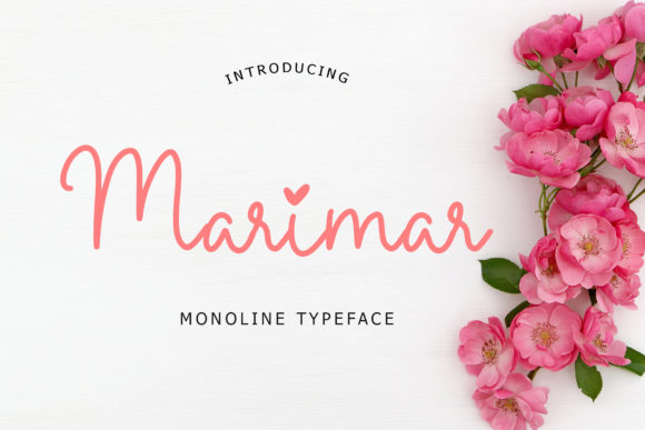 Marimar Font: A Playful Monoline Script Handwritten Typeface